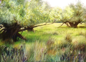 August in the Watermeadows, Old Linslade 2014. Joanna Stone. Pastel