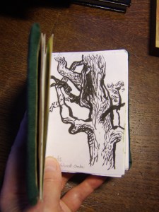 Sessile Oak, Joanna Stone 2015, brushpen.